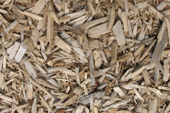 biomass boilers Trewassa