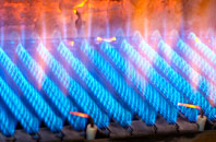 Trewassa gas fired boilers